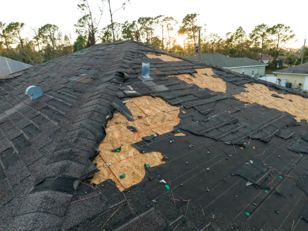 Best Roofing for New Construction  in Tell City, IN